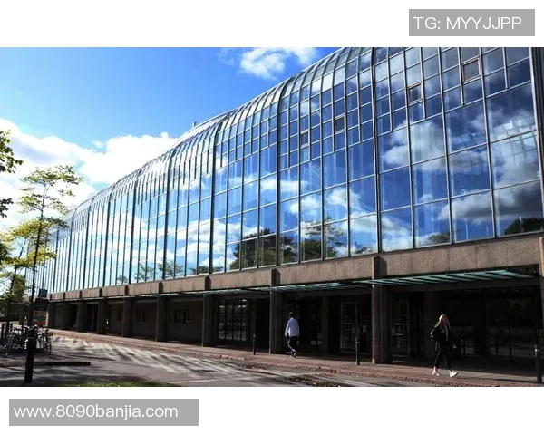 足球大海的波澜壮阔与激情四溢的赛场故事探寻之旅