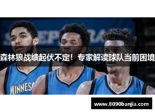 森林狼战绩起伏不定！专家解读球队当前困境
